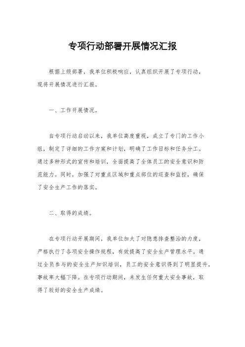 专项行动部署开展情况汇报