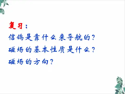 人教版物理电生磁培训课件