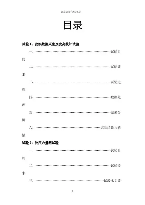 【免费下载】海岸动力学试验