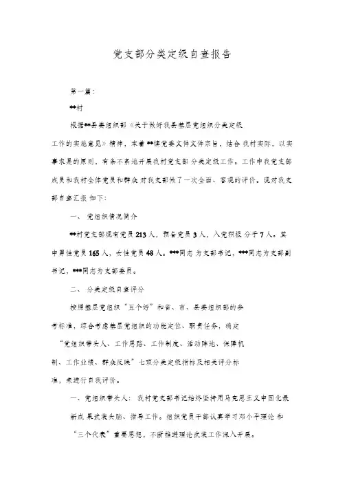 党支部分类定级自查报告