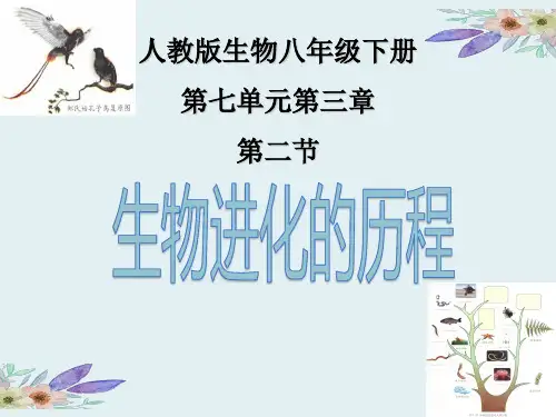 人教版八年级生物下册7.3.2生物进化的历程 (共23张PPT)
