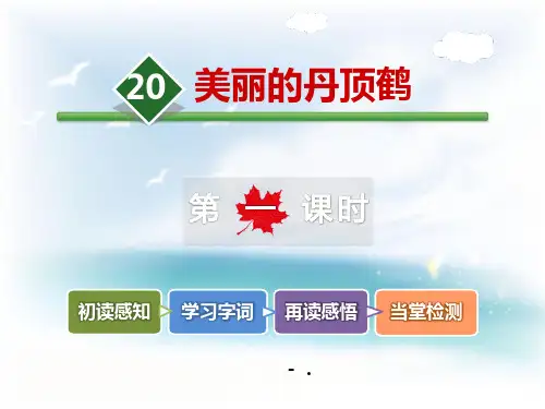 《美丽的丹顶鹤》PPT