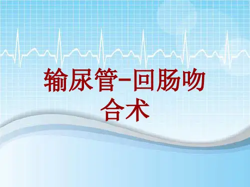 手术讲解模板：输尿管-回肠吻合术
