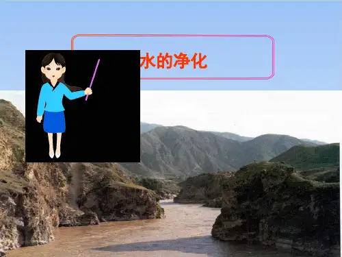 水的净化PPT—九年级化学人教版上册完美课件