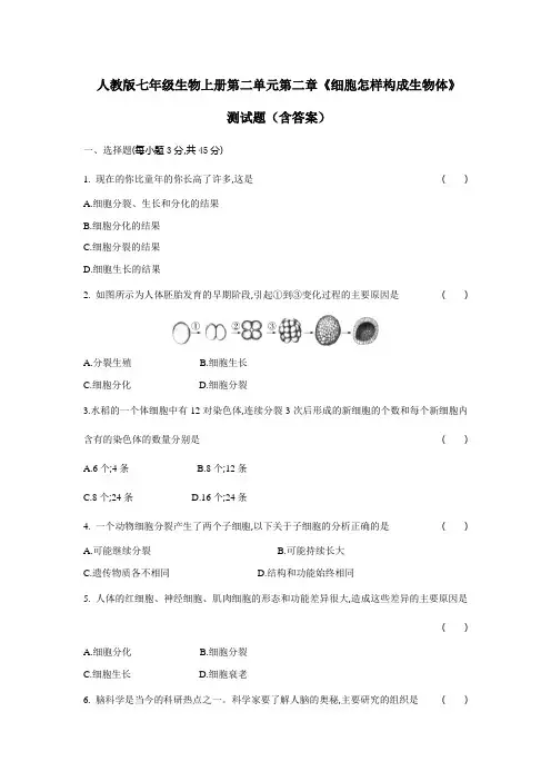 人教版七年级生物上册第二单元第二章《细胞怎样构成生物体》测试题(含答案)