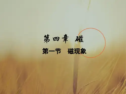 最新-八年级科学下册 第四章磁复习课件 华师大版 精品 