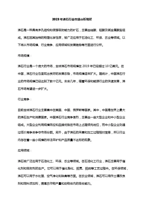 2023年沸石行业市场分析现状