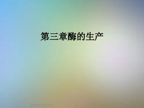 第三章酶的生产