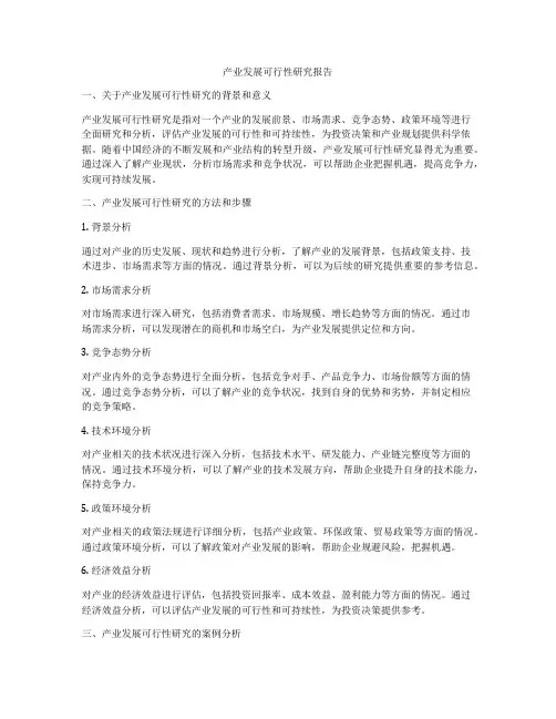 产业发展可行性研究报告