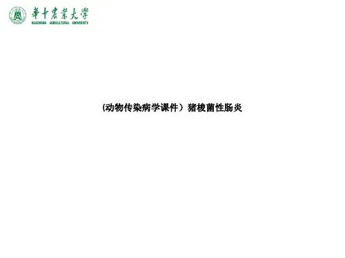 (动物传染病学课件)猪梭菌性肠炎