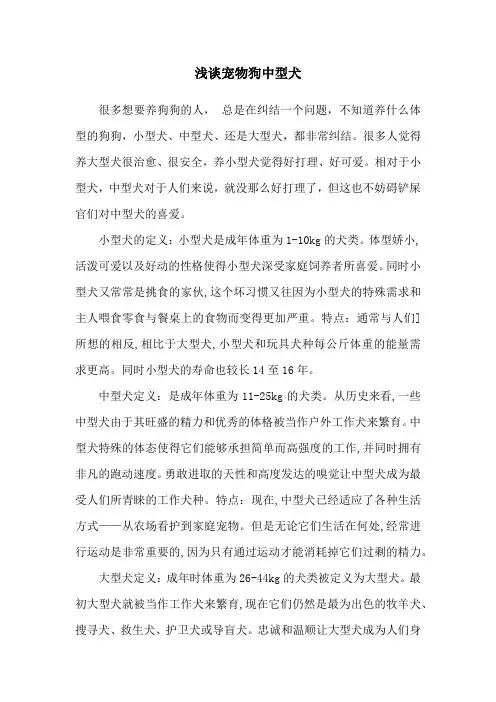 浅谈宠物狗中型犬