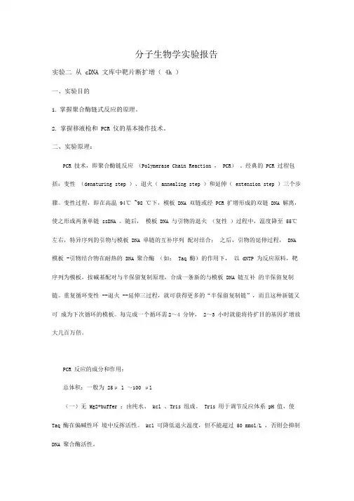 分子生物学实验报告