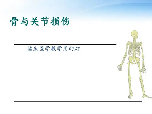 骨与关节损伤  ppt课件