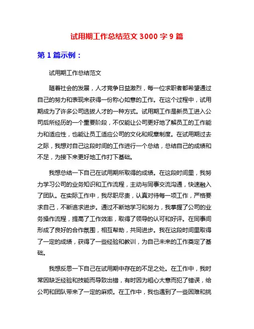 试用期工作总结范文3000字9篇