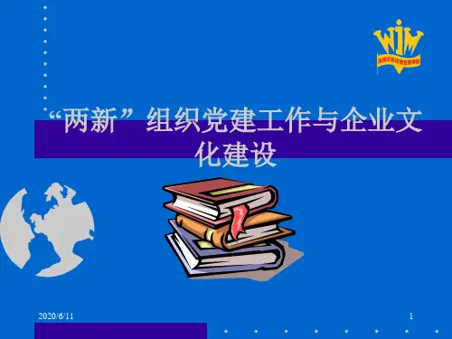 两新组织党建工作与企业文化建设上课讲义