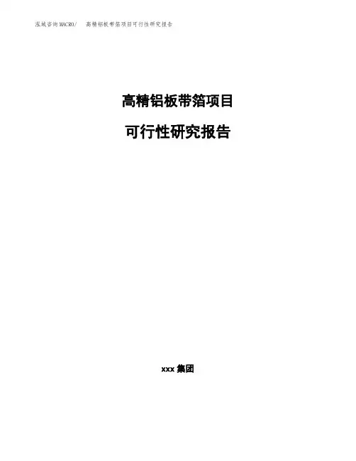 高精铝板带箔项目可行性研究报告