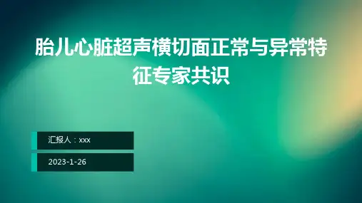 胎儿心脏超声横切面正常与异常特征专家共识PPT课件