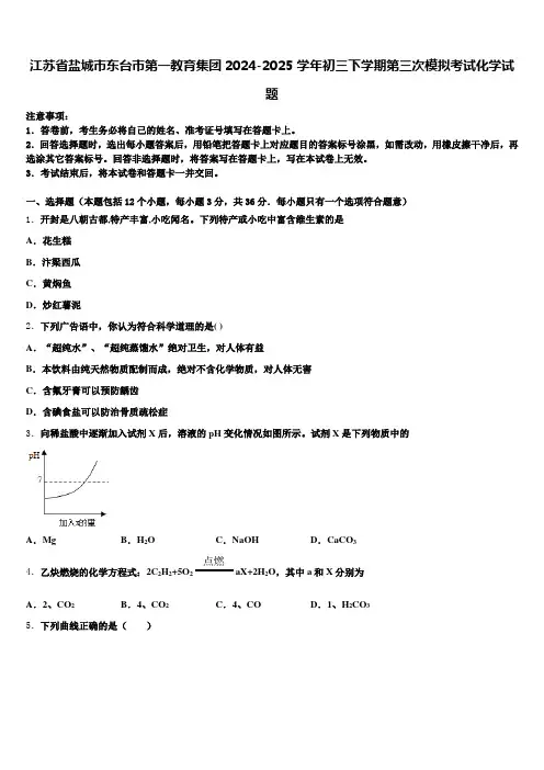 江苏省盐城市东台市第一教育集团2024-2025学年初三下学期第三次模拟考试化学试题含解析