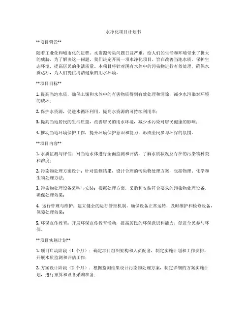 水净化项目计划书