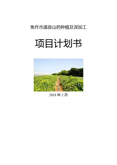山药种植及加工项目计划书