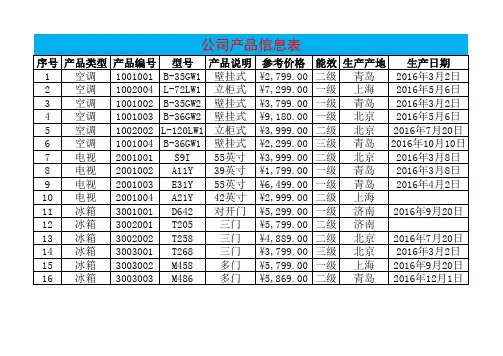 公司产品信息表