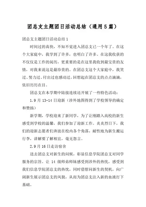 团总支主题团日活动总结(通用5篇)
