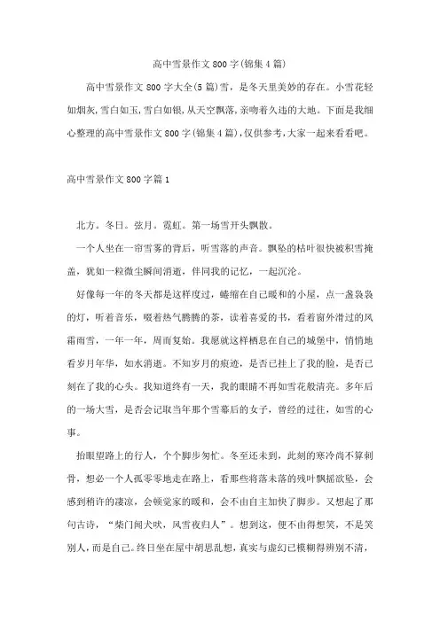 高中雪景作文800字(锦集4篇)