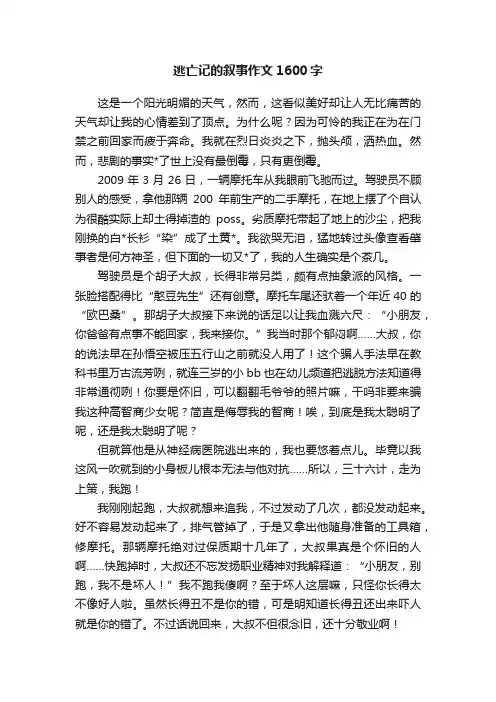 逃亡记的叙事作文1600字