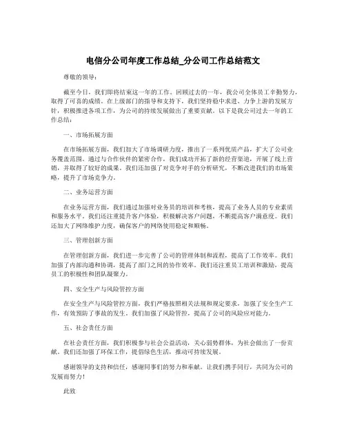 电信分公司年度工作总结_分公司工作总结范文