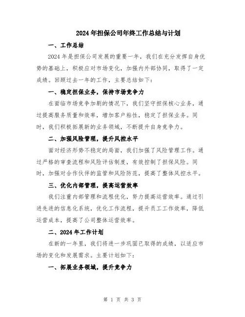 2024年担保公司年终工作总结与计划