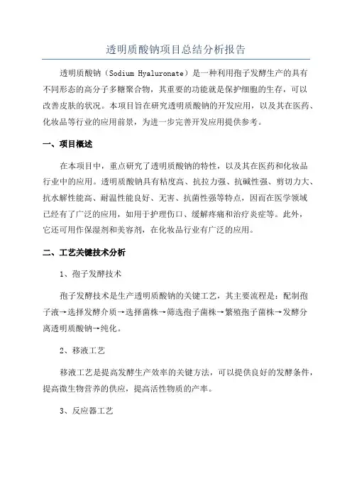 透明质酸钠项目总结分析报告