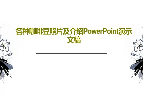 各种咖啡豆照片及介绍PowerPoint演示文稿PPT文档共19页
