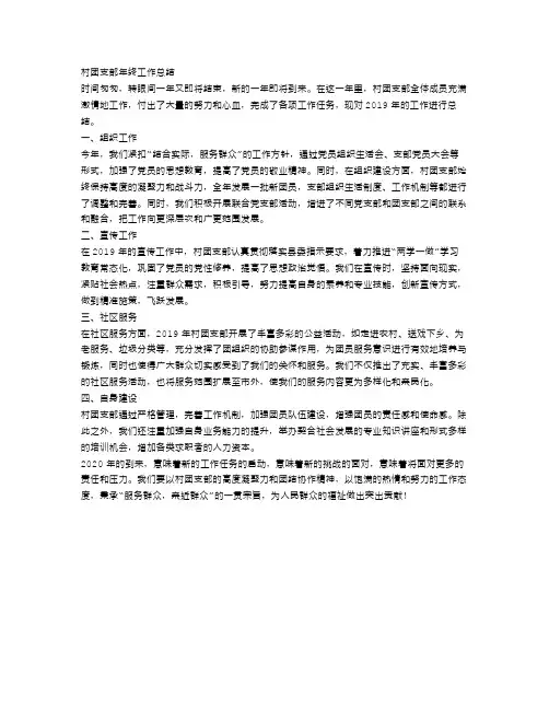 村团支部年终工作总结范文