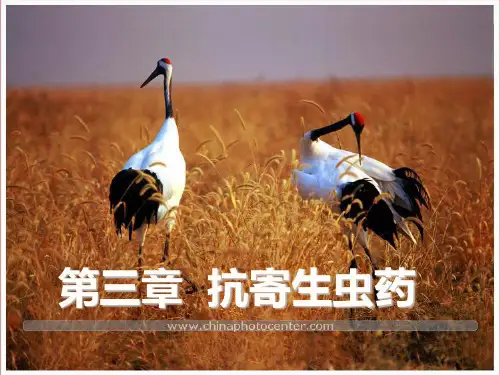 3第三章抗寄生虫药PPT课件