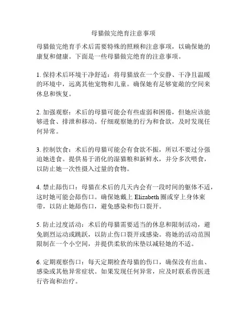 母猫做完绝育注意事项