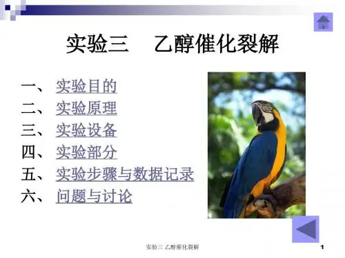 实验三 乙醇催化裂解