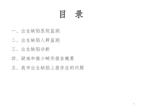 出生缺陷监测项目.