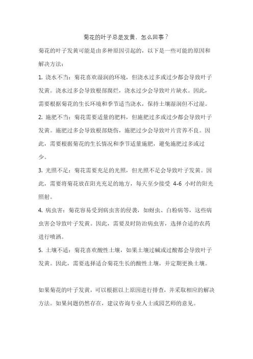 菊花的叶子总是发黄,怎么回事？