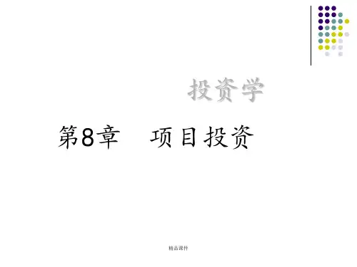 投资学  第8章ppt课件