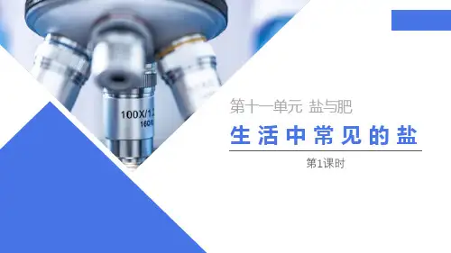 《生活中常见的盐》PPT课件