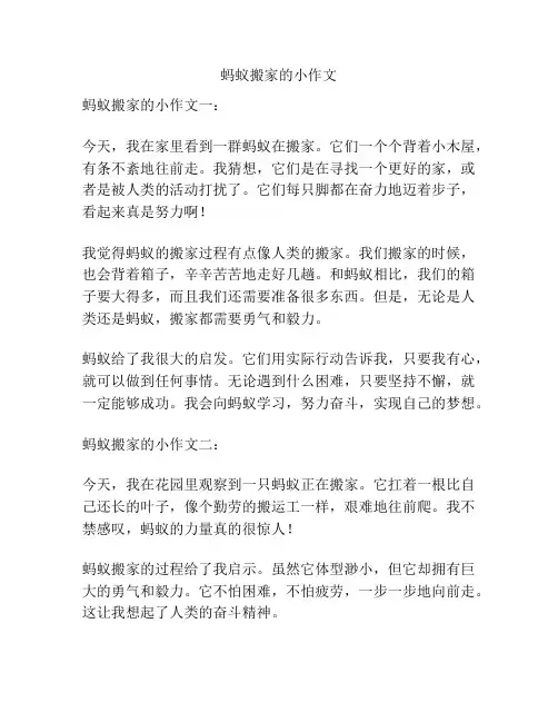 蚂蚁搬家的小作文