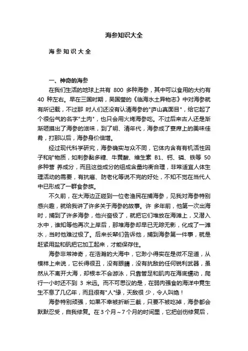 海参知识大全