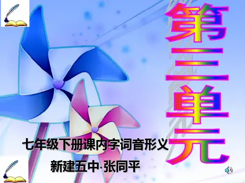 人教版语文七年级下册第三单元课内字词音形义PPT 课件