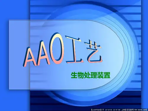 AAO工艺