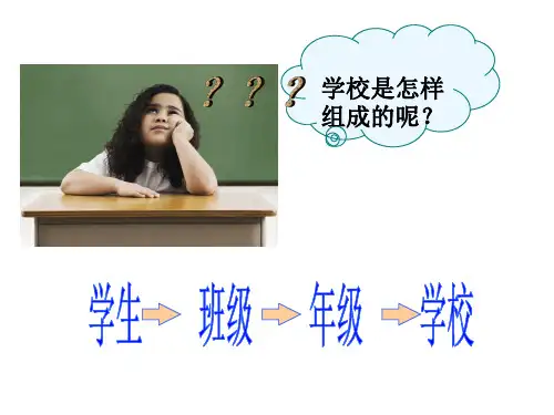 第三节多细胞生物体的结构层次