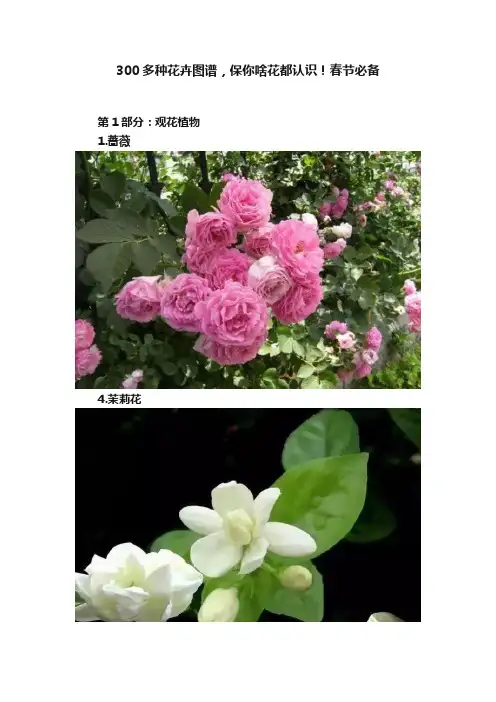 300多种花卉图谱，保你啥花都认识！春节必备