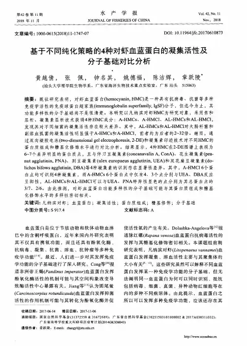 基于不同纯化策略的4种对虾血蓝蛋白的凝集活性及分子基础对比分析