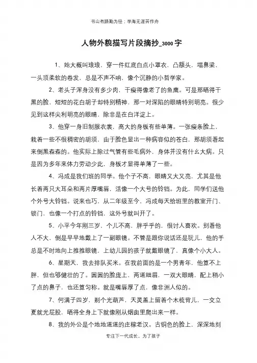 人物外貌描写片段摘抄_3000字
