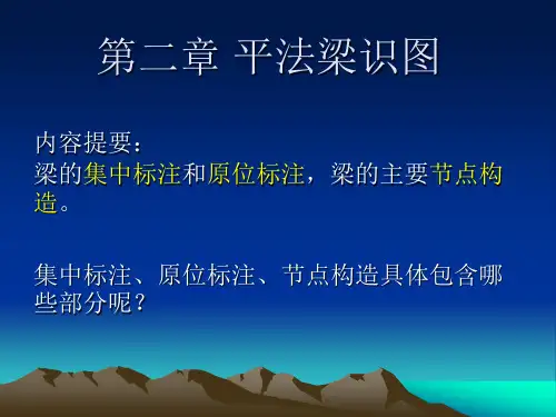 平法梁-集中标注