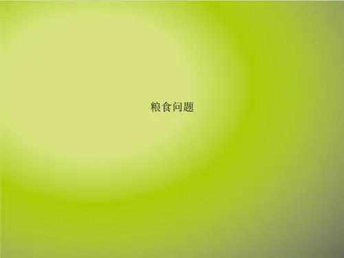 粮食问题